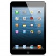 iPad mini