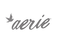 Aerie 10 for $30 Undies