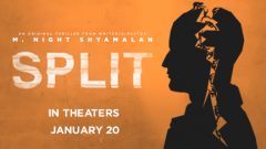 Free Ticket to Split