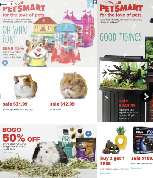Petsmart Holiday Catalog BuyVia