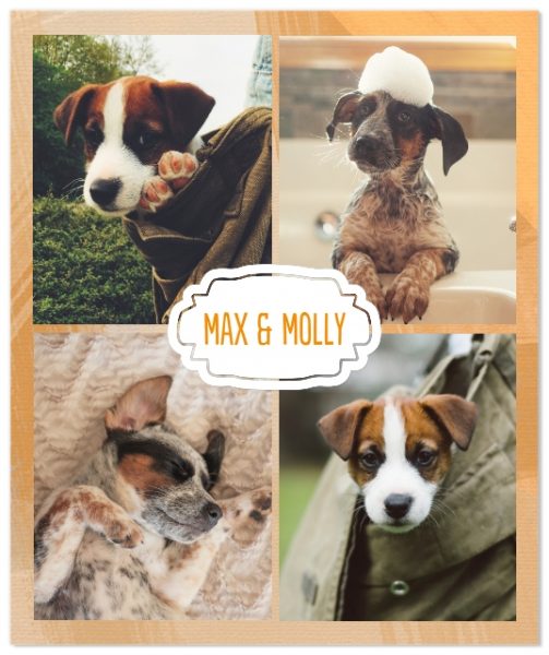 Snapfish 50×60 Custom Photo Blanket Sale 12.99 BuyVia