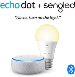 echo dot 3 sale