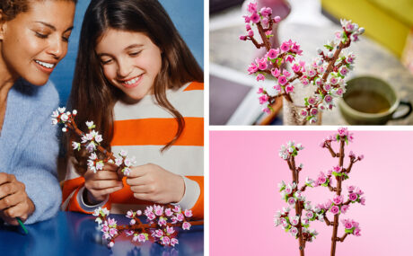 picture of LEGO Cherry Blossoms Celebration Gift