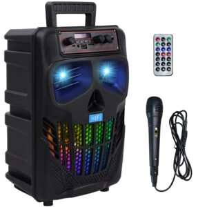 TOPVISION Karaoke Machine Sale