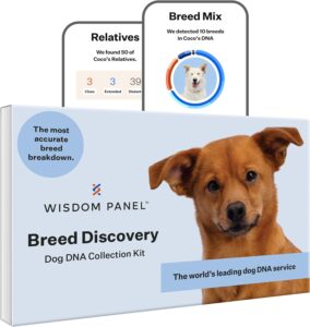 Wisdom Panel 3.0 Canine DNA Test Sale
