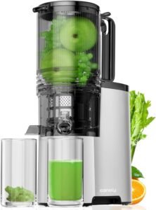 Cold Press Juicer 5.4