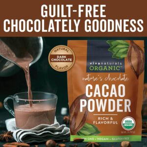 Viva Naturals Organic Cacao Powder, 2lb Sale
