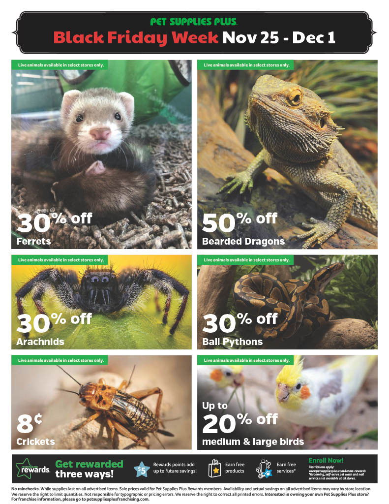 Pet Supplies Plus Black Friday Ad 2024