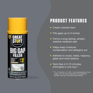20 oz Big Gap Filler Insulating Foam Sealant Sale