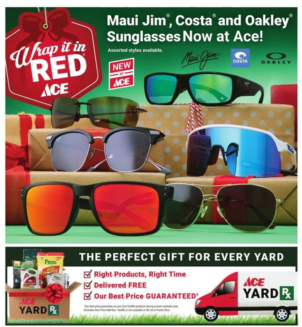 Ace hardware Black Friday 2025 Ad