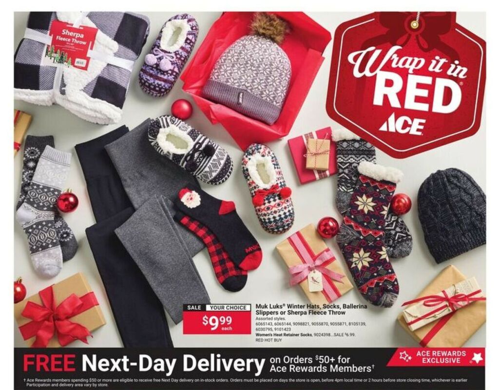 Ace hardware Black Friday 2025 Ad