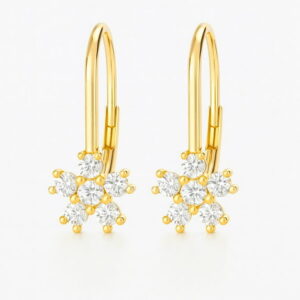 Amy and Annette Lever Back Earrings with Crystals in 18K Gold Plated Sale