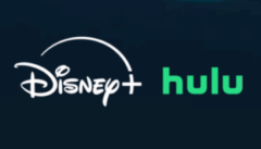 Hulu and Disney+ $4.99/month for 12 months