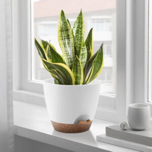 FOUKUS Set of 5 Self-Watering Plant Pots with Drainage Sale