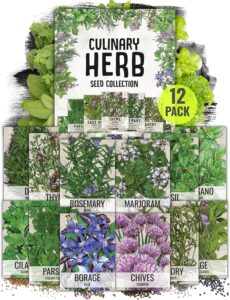 Seed Needs Herb Seeds Variety Pack Culinary Herb Collection (12 Individual Packets) Sale
