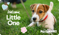 Petsmart $200 Gift Card with Bonus $40 Card
