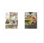2 Free Retro Mini Prints Rectangle