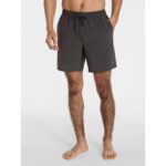 Ozark Trail Men's Swim Trunks Sale