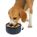 TrustyPup Pet Travel Bowl Sale