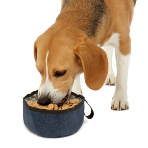 TrustyPup Pet Travel Bowl Sale